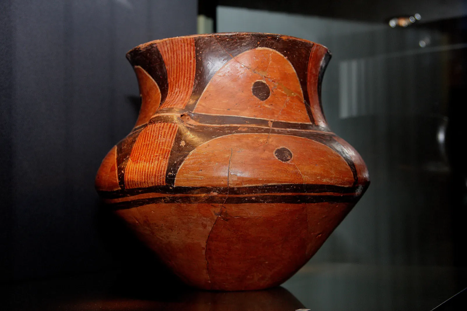 Muzeul de Artă Eneolitică Cucuteni „Gheorghe Dumitroaia” Piatra-Neamț, fotografia 3